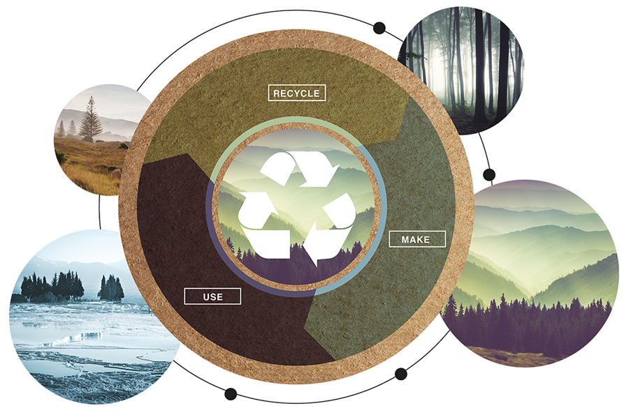 OUR VISION 1 grafico economia circolare 1