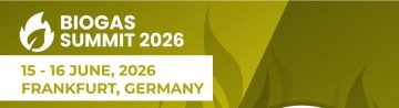 Screenshot 2026 06 17 alle 11.12.28